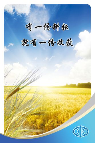 购物网站排行榜乐虎国际app前十(最全购物网站)